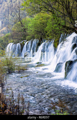 Pfeil Bambus See Wasserfälle, Nationalpark Jiuzhaigou, Provinz Sichuan, China, UNESCO-Weltkulturerbe Stockfoto