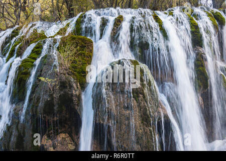 Bambus-See Wasserfall, Nationalpark Jiuzhaigou, Provinz Sichuan, China, UNESCO-Weltkulturerbe Stockfoto