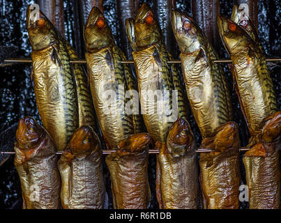 Geräucherter atlantische Makrele (Scomber scombrus) im Kabinett, Deutschland Stockfoto