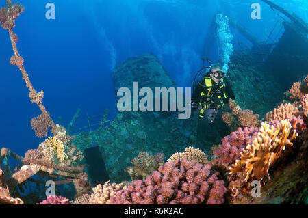 Taucher am Wreckship Gianis D. Rotes Meer, Sharm El Sheikh, Ägypten Stockfoto