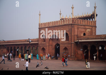 Jama Masjid Moschee in Neu-Delhi, Indien Stockfoto