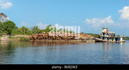 Schiff Transport von Regenwald meldet sich auf dem Amazonas, Amazona Zustand, Brasilien Stockfoto