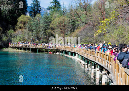 Fünf-farbige Pool, Masse auf einem Steg, Jiuzhaigou Nationalpark, Provinz Sichuan, China, UNESCO-Weltkulturerbe Stockfoto