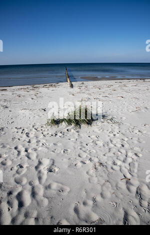 Es gibt s natürliche Sandstrand mit Blick auf die Ostsee an der Westküste der Insel Hiddensee im Nordosten Deutschlands mit den europäischen Gräser wachsen. Stockfoto