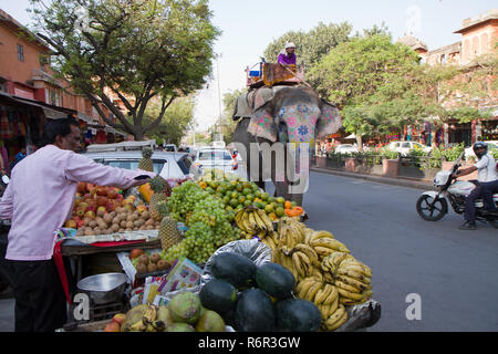Obst Händler auf der Straße von Jaipur Stockfoto