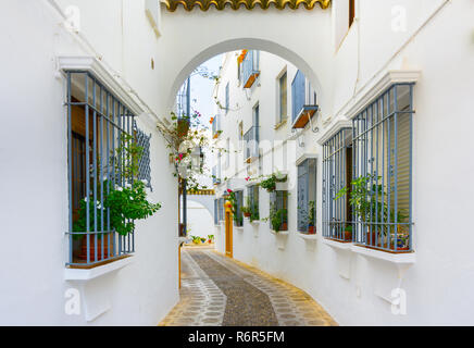 Malerische weisse Straße von Cordoba. Typisch andalusischen weißen Häuser im südlichen Spanien Stockfoto