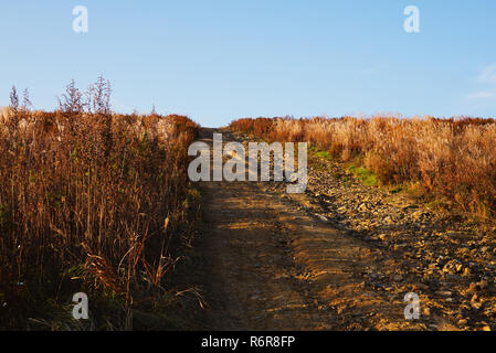 Country Road in der Mitte eines Feldes von wilden Kräutern auf einem hohen Hügel. Die Straße führt bis in den Himmel. Osten Russland, Primorski Region, Wladiwostok Stockfoto