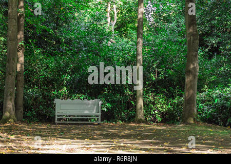 Alte Bank im Busch Stockfoto