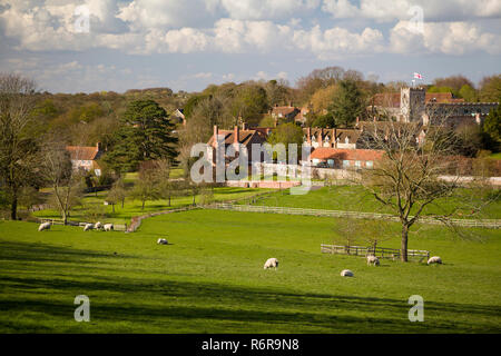 Schafe weiden in Felder vor der Chiltern Dorf Ewelme, Oxfordshire Stockfoto