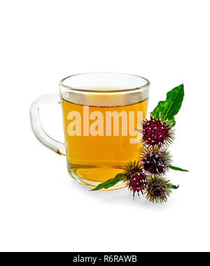 Kräutertee in einem Glas mug, Zweig blumen Klette auf weißem Hintergrund Stockfoto