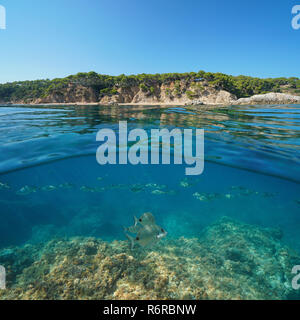 Küste in der Nähe von Palamos in Spanien und eine Schule der Fische unter Wasser, geteilte Ansicht Hälfte oberhalb und unterhalb der Wasseroberfläche, Costa Blanca, Mittelmeer Stockfoto