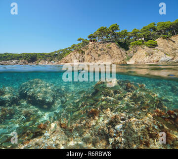 Mittelmeerküste in Spanien mit einem Schwarm von Fischen unter Wasser Meer, geteilte Ansicht Hälfte oberhalb und unterhalb der Wasseroberfläche, Cala Bona, Palamos an der Costa Brava Stockfoto