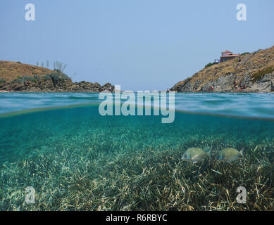 Mittelmeer felsige Küste und Posidonia Gras mit Fisch unter Wasser, geteilte Ansicht Hälfte oberhalb und unterhalb der Wasseroberfläche, Spanien, Costa Brava, Cadaques Stockfoto