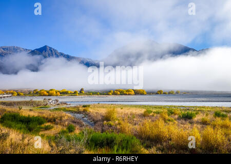 Gelbe Wald und Fluss in Neuseeland Berge Stockfoto