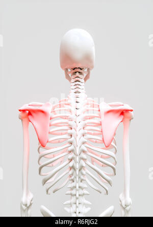 Schulterschmerzen - 3D-Rendering Stockfoto