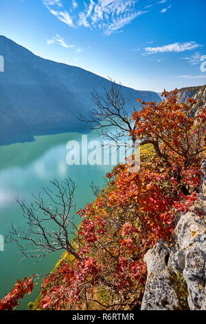 Eisen Tore Naturpark, Donau, Dubova, Rumänien Stockfoto