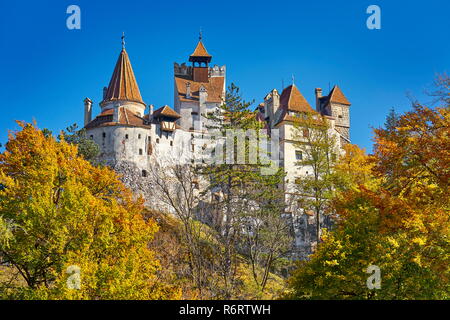 Draculas Schloss, Kleie, Siebenbürgen, Rumänien Stockfoto