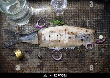 Abstrakte Hering mit Wodka und Gläser kreative noch leben Fische wie Schwimmen in Alkohol Stockfoto