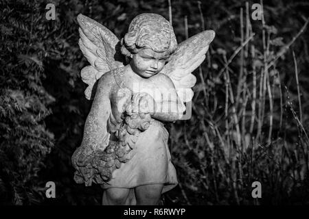 Statue eines Engels auf dem deutschen Friedhof in Berlin Tegel Stockfoto