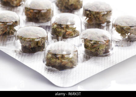 Medizinisches Marihuana in Blisterverpackung. Stockfoto