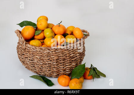 Organische Mandarinen Orangen, Mandarinen, Clementinen, Zitrusfrüchte mit Blättern in Korb über weißen Hintergrund, kopieren Raum Stockfoto