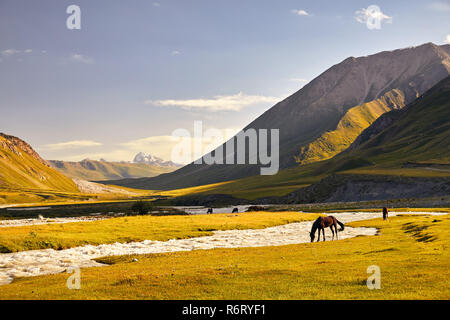 Pferde in der Nähe des Flusses in der Terskey Alatau Gebirge in Kirgisistan und Zentralasien Stockfoto