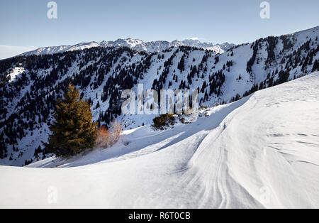 Hohe Berge mit Schnee und hohe Gipfel im Winter Stockfoto