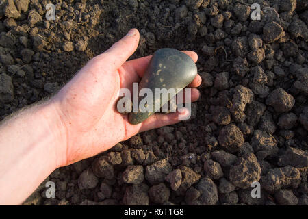 Neolithische Steinaxt 5000-6000 v. Chr. Stockfoto