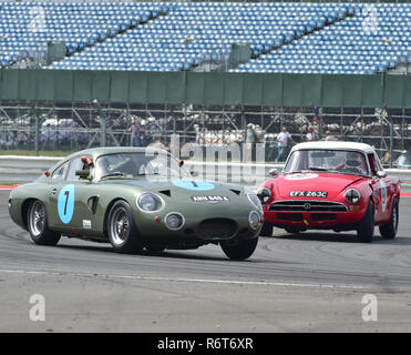 Wolfgang Friedrichs, Aston Martin DP 214, ANU 645 A, Terry van der Zee, Neil Fröhlich, Sunbeam Tiger, EFX 263 C, Chopard internationale Trophäe, Vor 66 GT C Stockfoto