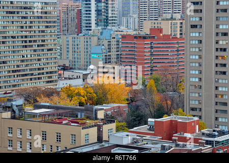 Downtown Toronto - nach Nordosten in Richtung Bloor Street aus dem Eaton Chelsea Hotel (20. Stock), Toronto, Ontario, Kanada Stockfoto