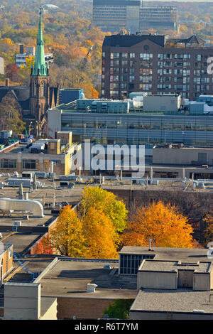 Downtown Toronto - auf der Suche nach Osten in Richtung Ryerson University aus der Eaton Chelsea Hotel (20. Stock), Toronto, Ontario, Kanada Stockfoto