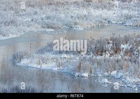 Winter Fluss mit Open Water, Whitefish Falls, Ontario, Kanada Stockfoto