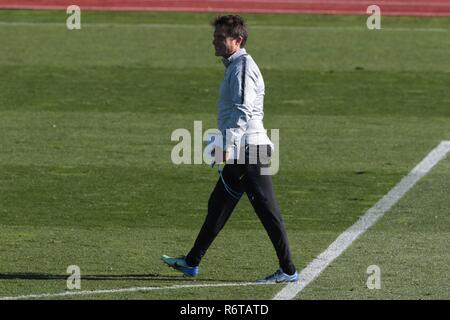 Madrid, Spanien. 6. Dezember, 2018. Boca Juniors Training Session in Las Rozas, Madrid. 12.06.2018. (Foto: Juan Carlos Rojas/Cordon drücken). Guillermo Barros Schelott Trainer SesiÃ³n de entranamiento Del Boca Juniors en Las instalaciones de la FederaciÃ³n Española de FÃºtbol de zlas Rozas, Madrid. 06/12/2016. (Foto: Juan Carlos Rojas/Cordon Cordon Drücken Drücken) Credit: CORDON PRESSE/Alamy leben Nachrichten Stockfoto