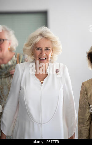 Großbritanniens Camilla, Herzogin von Cornwall an der British Council Niederlassungen in Accra, Ghana während einer königlichen Besuch des Landes im November 2018. Stockfoto