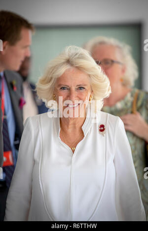 Großbritanniens Camilla, Herzogin von Cornwall an der British Council Niederlassungen in Accra, Ghana während einer königlichen Besuch des Landes im November 2018. Stockfoto