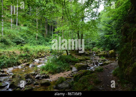 Die pesenbach im pesenbachtal Stockfoto