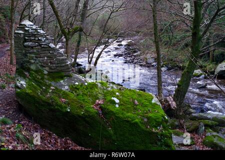 Osten Lyn Fluss fließt durch die Wälder, durch steinerne Gedenktafel. Exmoor National Park, North Devon, Großbritannien. Stockfoto