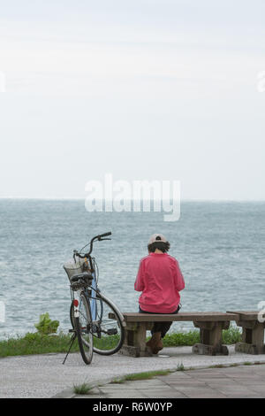 Weiblichen Erwachsenen sitzt auf Holzbank und liest ein Buch im Park entlang der Küste, neben ihr Fahrrad, mit dem Rücken zum Betrachter, mit Meerblick, Taiwan Stockfoto