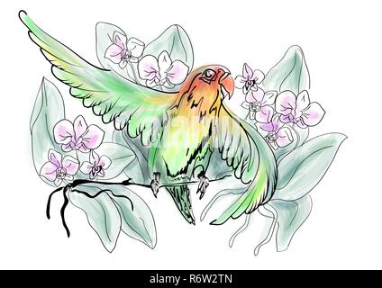 Papageien Lovebird und Blumen auf weißem Hintergrund Stock Vektor