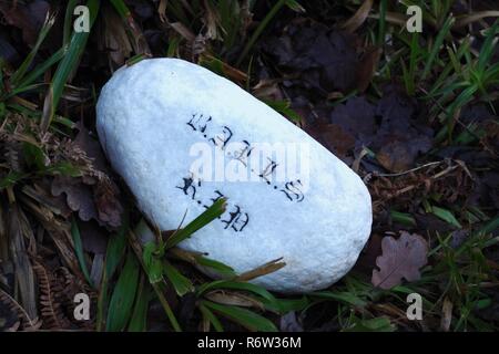 Markierten weißen Stein auf den Waldboden entlang der östlichen Lyn River Valley. Exmoor National Park, North Devon, Großbritannien. Stockfoto