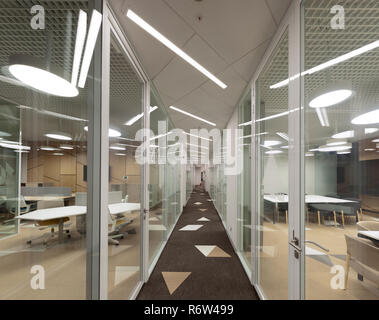 Moderne Einrichtung. Büro Flur mit Glaswand und Büroräume. 3D-Darstellung Stockfoto