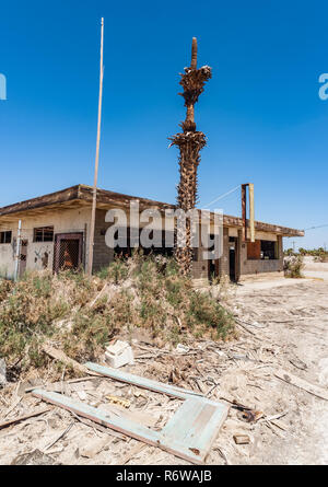 Abandonned Gebäude Ruinen und Tote Palme in der Post apocaliptic Landschaft der Salton Sea in Südkalifornien Stockfoto