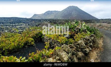Vulkan La Corona und Grape Valley - Lanzarote, Kanarische Inseln, Spanien Stockfoto