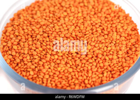 Rote Linsen in Glasschale auf weißem Hintergrund. Stockfoto