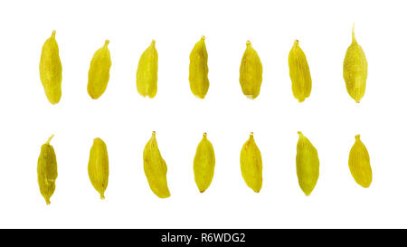Zwei Reihen von grünen Kardamom Samen auf weißem Hintergrund, Ansicht von oben. Stockfoto