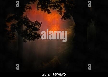 Wald Dämmerung in lebendigen Farben. Stockfoto