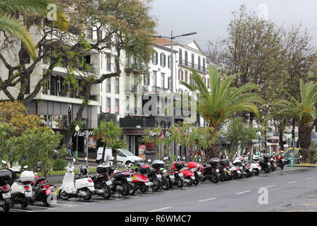 Die Avenida do Mar in Funchal an einem regnerischen Tag im April Stockfoto