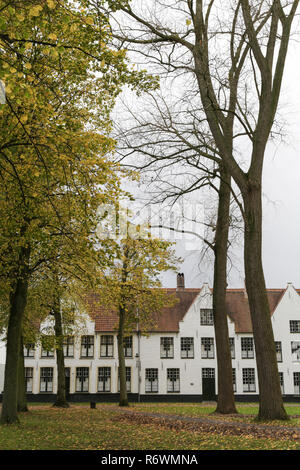 Beginenhof in Brügge Stockfoto