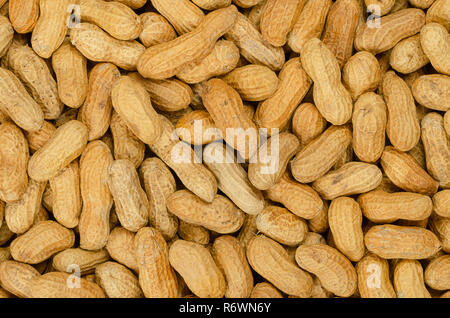 Erdnüsse mit Schale, Hintergrund, aus der Nähe. Auch Erdnuss oder goober. Stapel der Schale geröstet ganze Herden von Arachis Hypogaea, eingesetzt als Snack. Stockfoto