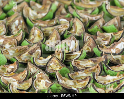 Grün geschnitten Walnüsse für Nochino Likör Stockfoto